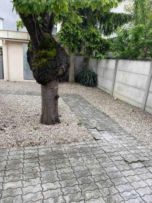 Studio Tout Confort, Au Pied De Toute Commodite, 2 Appartement Créteil Buitenkant foto